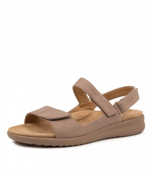 Grey Brown / Grey Brown Ziera Benji (Wide) Women Sandals | Z-069158